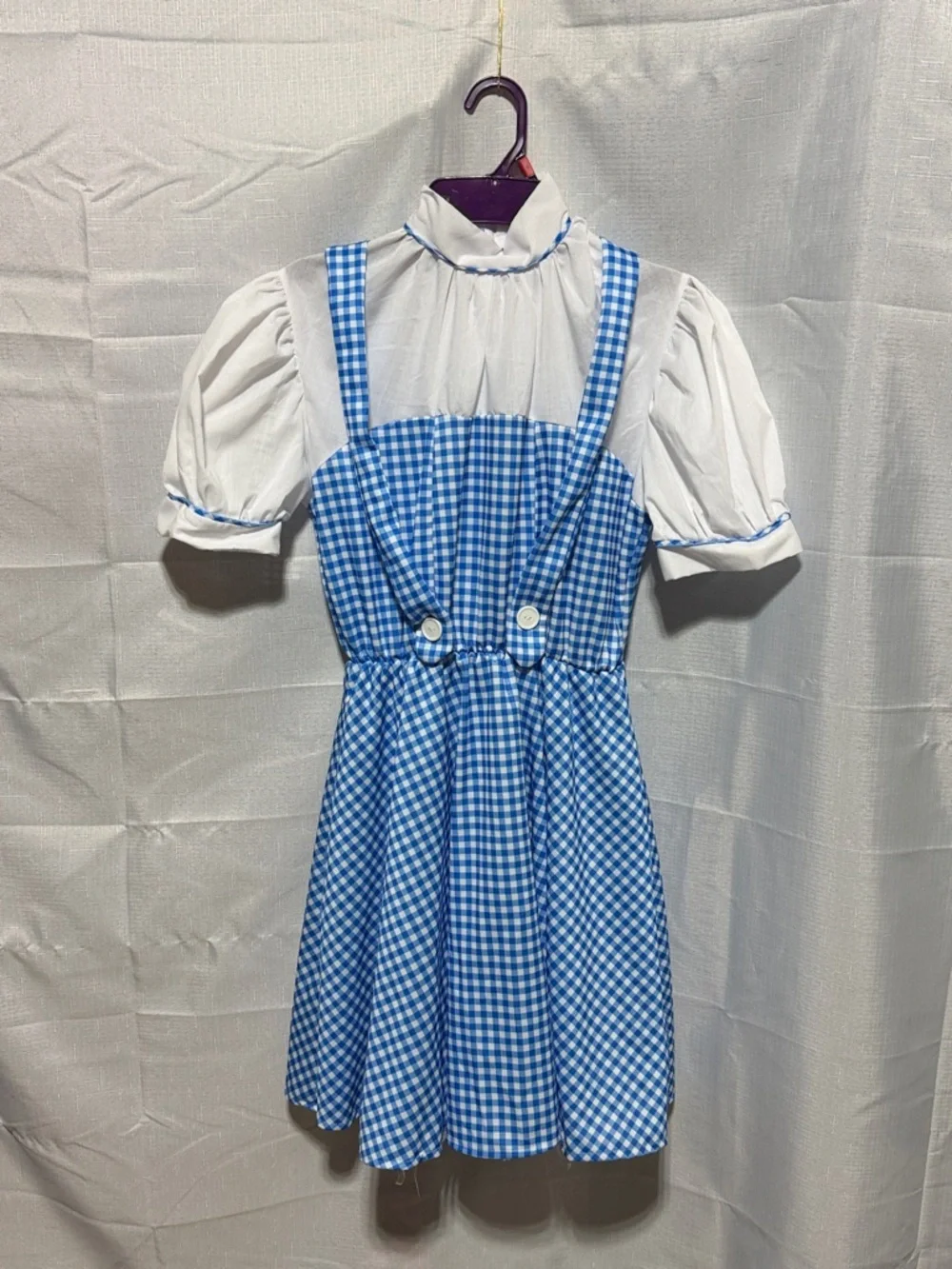 Rubie's Wizard of Oz Dorothy Costume